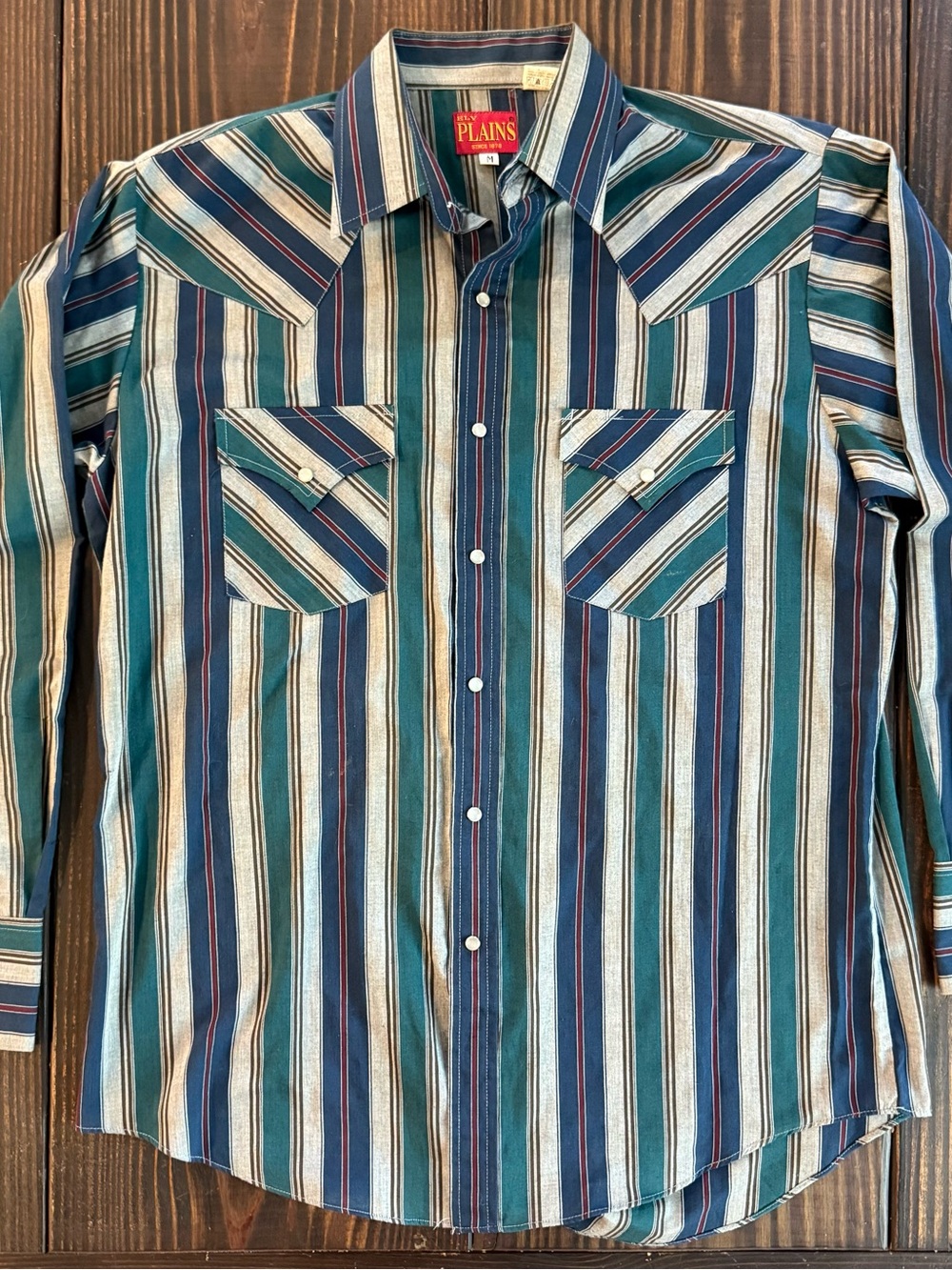 Ely Plains Men's Striped Western Pearl Snap Shirt in Teal & Navy